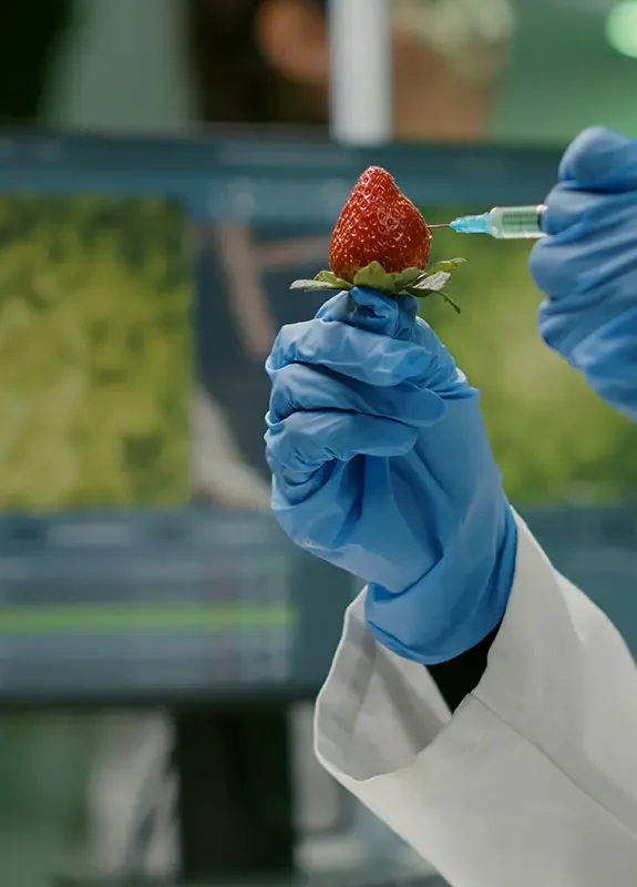 closeup-chemist-scientist-injecting-nature-strawberry-with-chemical-pesticides