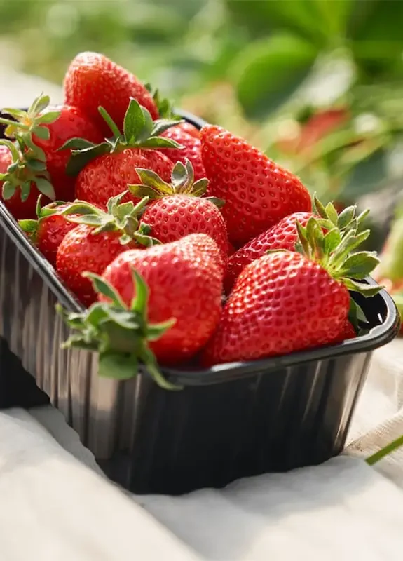 fresh-ripe-strawberries-inside-black-plastic-box_7502-7746